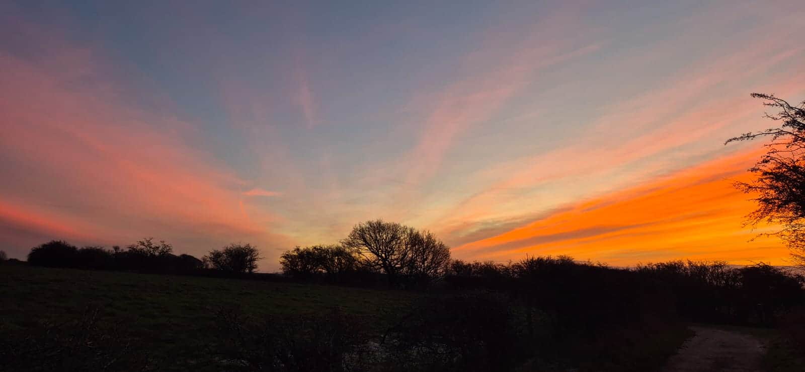 A photo of a sunrise - Creating Connections in Nature