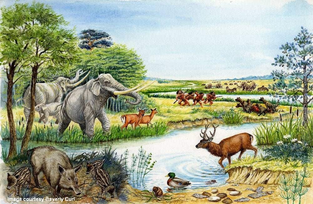 A photo of animals in the Ice Age - Ice Age Safari
