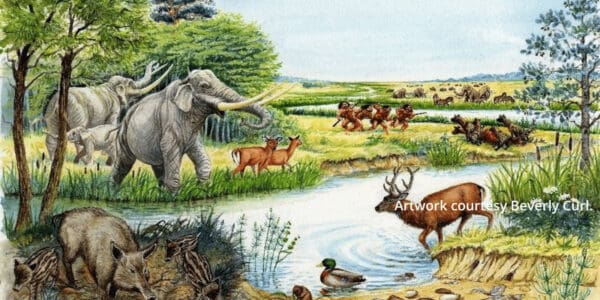 Ice Age Safari