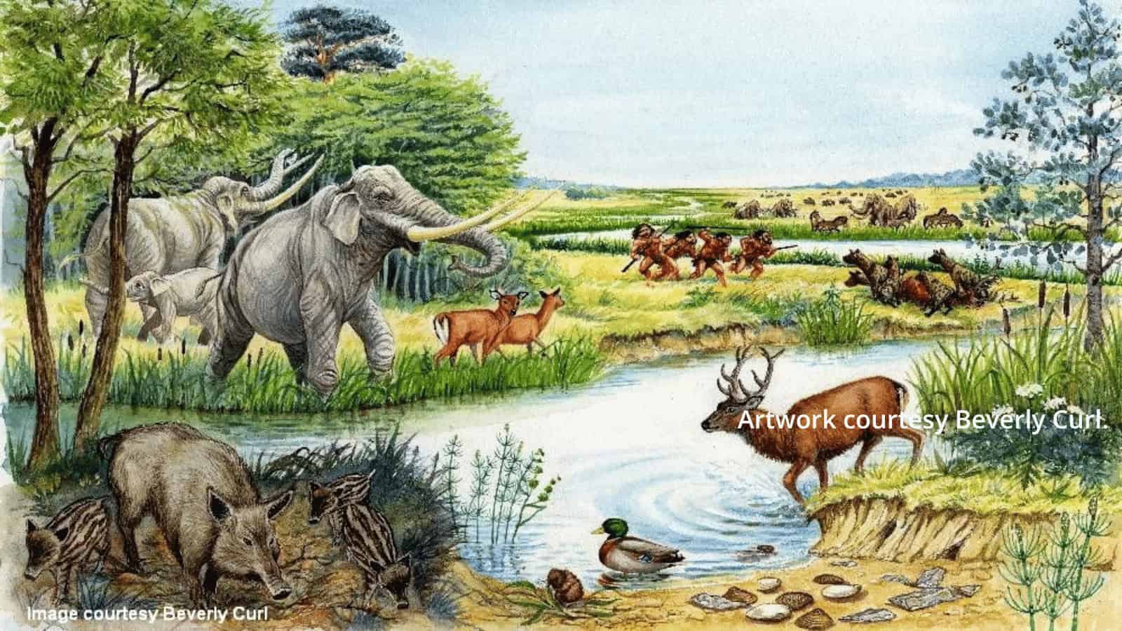 Ice Age Safari