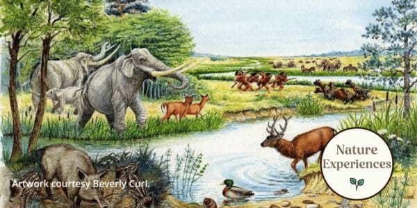 Ice Age Safari
